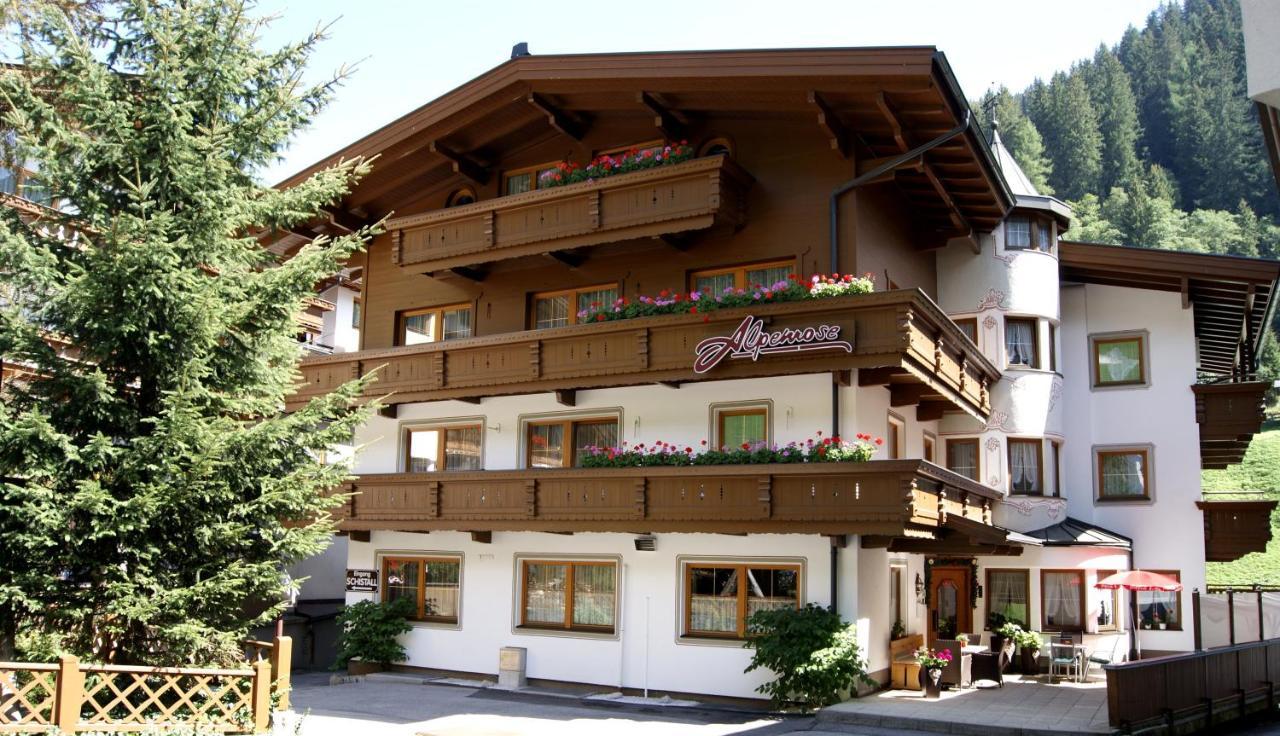 Alpenrose Apartment *