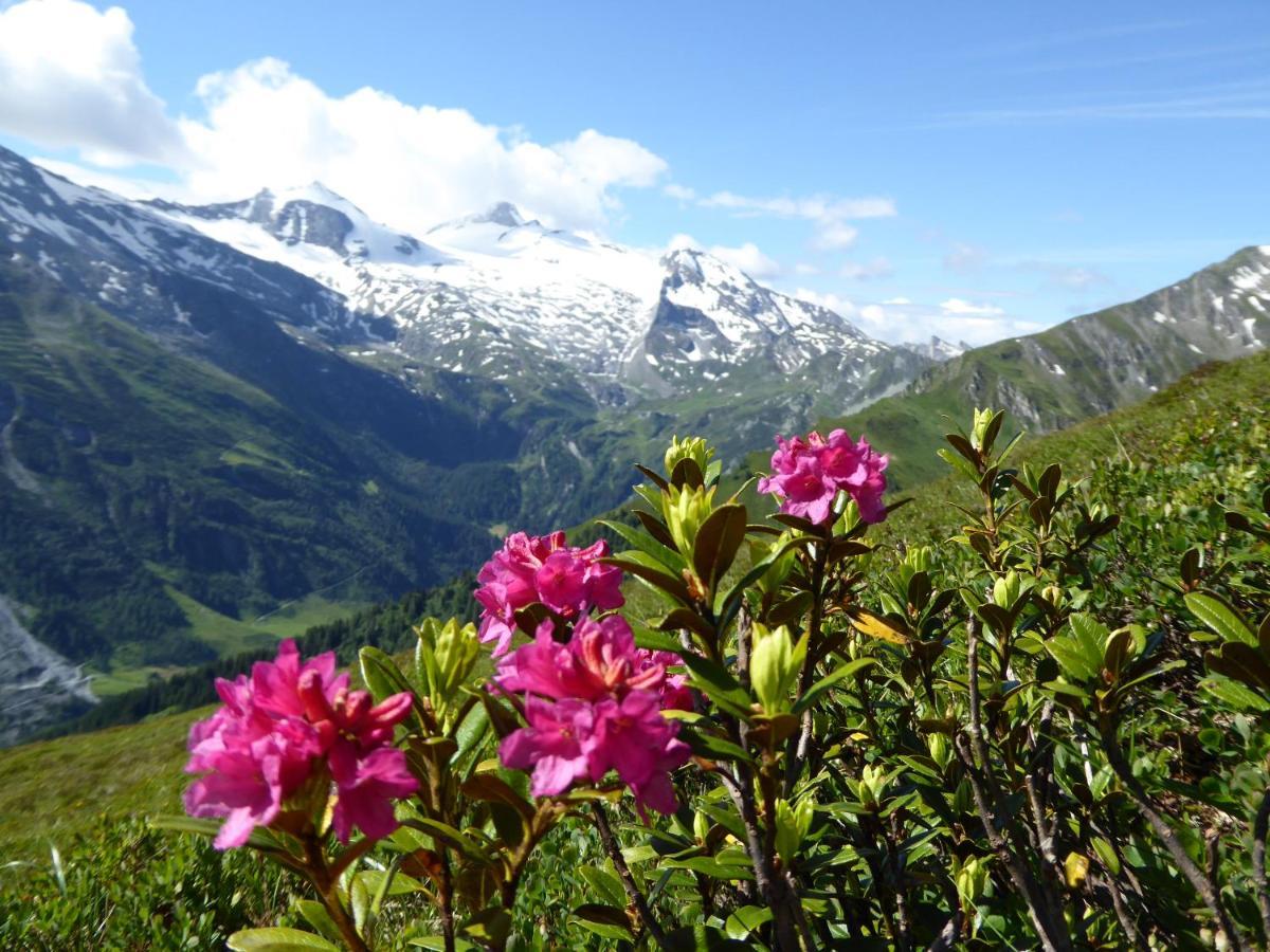 Alpenrose Apartment
